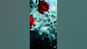صوت جميل ونقي القارئ حمزة بوديب