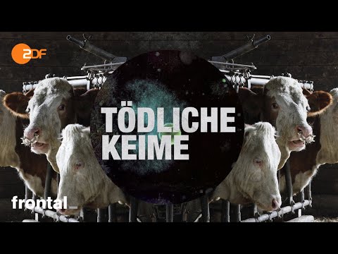 Video: Welche Eigenschaften haben Keime?