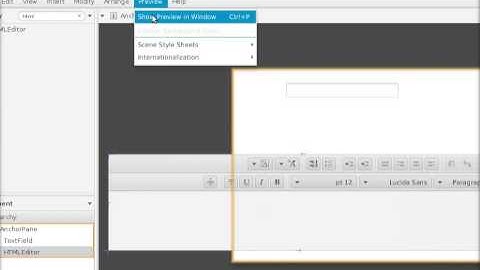Some problem in Scene Builder in first look