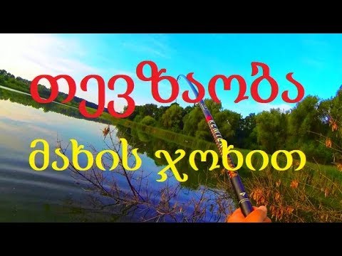თევზაობა ტივტივაზე მახის ჯოხით