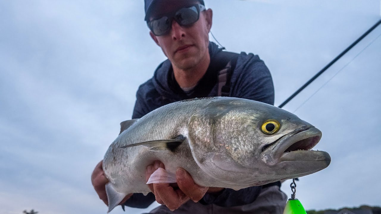 Surf Fishing for Bluefish on Cape Cod