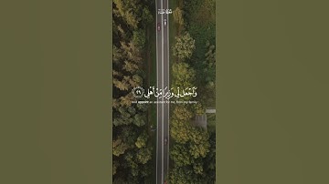 تلاوه جميله بصوت الشيخ محمد أيوب رحمه الله ارح سمعك #اكسبلور_فولو #محمد_أيوب