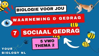 5 vwo | Waarneming & Gedrag | 7 | Sociaal gedrag