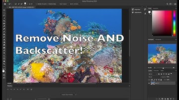 Pt 2: Removing Backscatter from Underwater Photos Using Photoshop and Lightroom