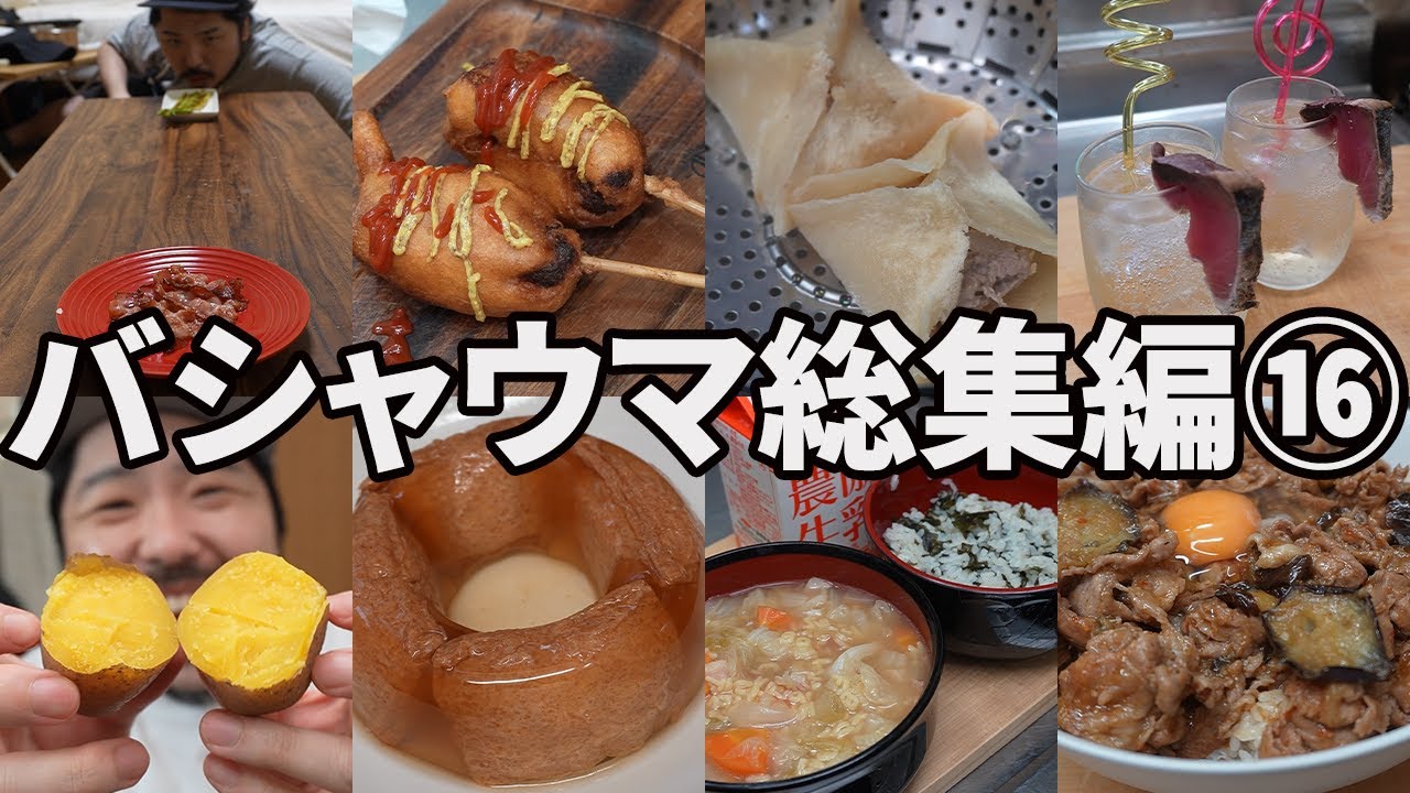 Bashauma's Homemade Diary Collection Vol. 16 - YouTube