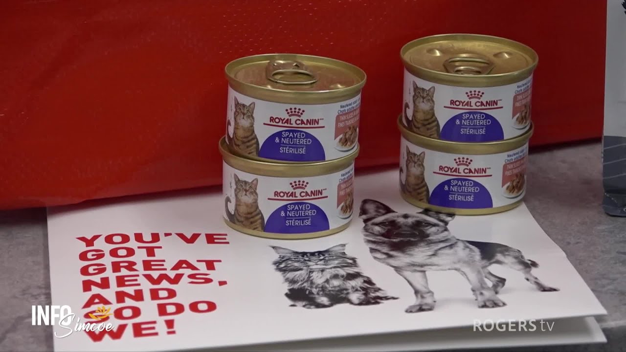 INFO Simcoe | Orillia OSPCA - Why Adopt? | Rogers tv | Rogers tv
