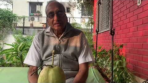 Coconut Safetynet - My 1st Year Experience After Installing Safetynet From Naral Mitra?