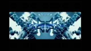 Indecenti -  Party Circus (video)