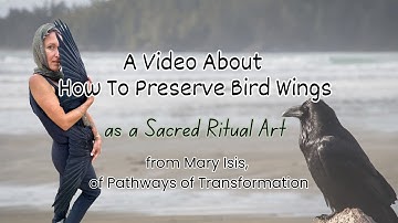 Preserving Bird Wings in a Sacred Way
