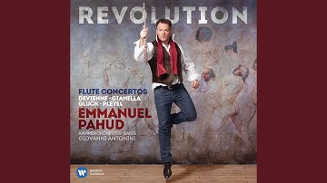 Flute Concerto No. 7 in E Minor: I. Allegro