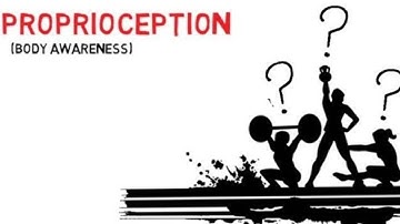 What is Proprioception?