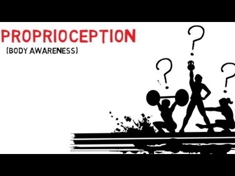 What is Proprioception?