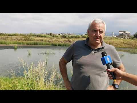 تربية القريدس من مزرعة اللبناني مسعد اجبع في عكار و كل الحكاية الجزيرة مباشر خاص أسامة العويد