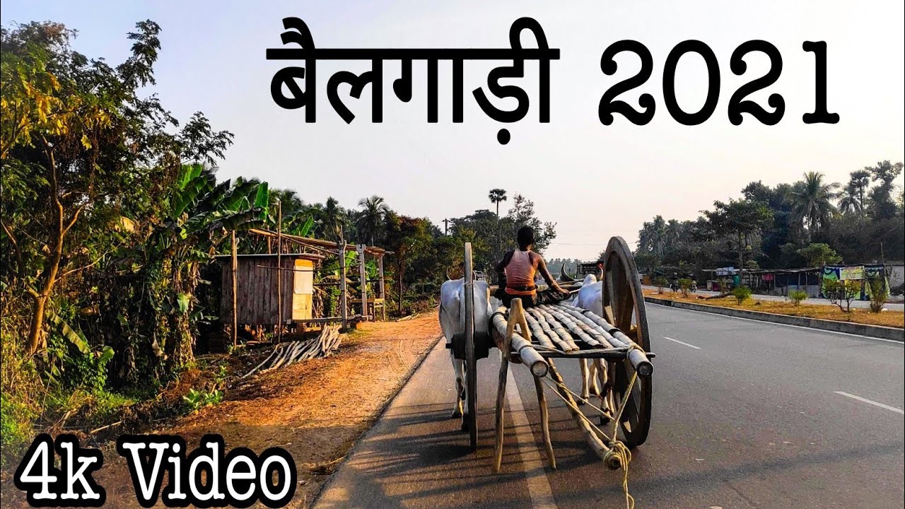 Bullock Cart in 2021 Bailgadi 4k Indian Village Life बैलगाड़ी