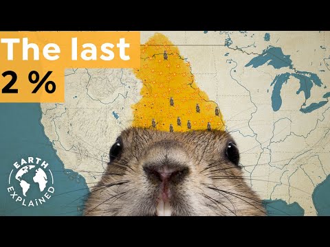 How Prairie Dogs Barely Escaped a Centuries-long Hunt I Earth Explained!
