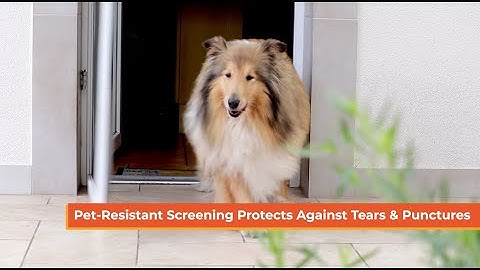Pet Screen By Metro Screenworks | Pet-Resistant Screening Protects Against Tears And Punctures