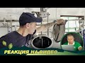 Реакция на видео от подписчика. Варим 2 тонны пива на Курском солоде