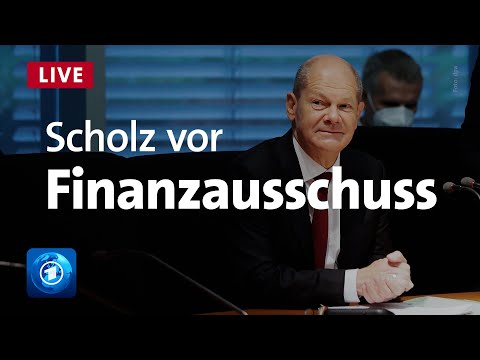 Video: Gesetzte, Die Im Senat Von Michigan Zum Verbot Von Tierhandlungen Verabschiedet Wurden