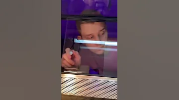 Убираю террариум Перри