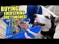 Buying My Husky EVERYTHING She Touches! (Hila's 2nd Birthday)