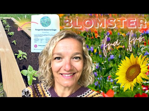 Video: Blomsterhage Hjemme