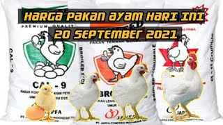 Harga DOC Ayam Broiler Hari Ini Rabu 23 Maret 2022. 