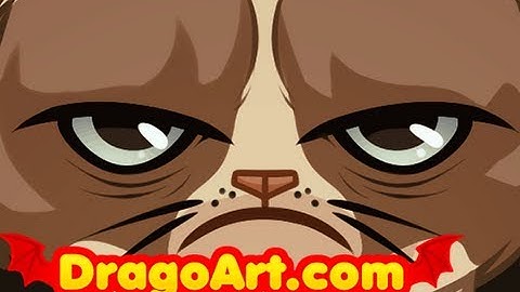 How to Draw the Grumpy Cat, Tardar the Grumpy Cat, Step by Step