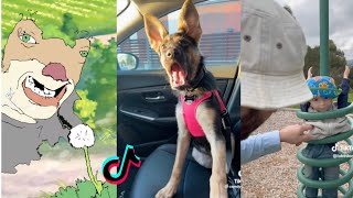 Funny Tiktoks That Lives Rent Free In My Head Tiktok Compilation