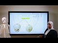 الجزء الأول مراجعة التشريح الصف الأول الثانوي تمريض mp3