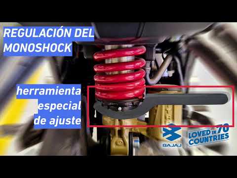 Ajuste del monoshock trasero -