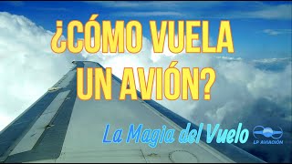 ¿Qué hace volar a un avión?