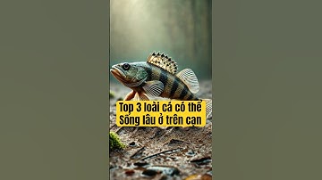 Bí ẩn loài cá có thể đi trên cạn #animals #dongvat #shortvideo #short
