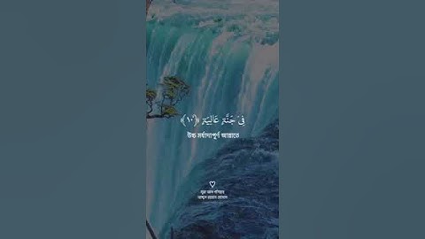 سورة الغاشية كاملة | القارئ عبدالرحمن مسعد