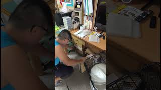 2025年8月28日(試合抽屜滑軌)