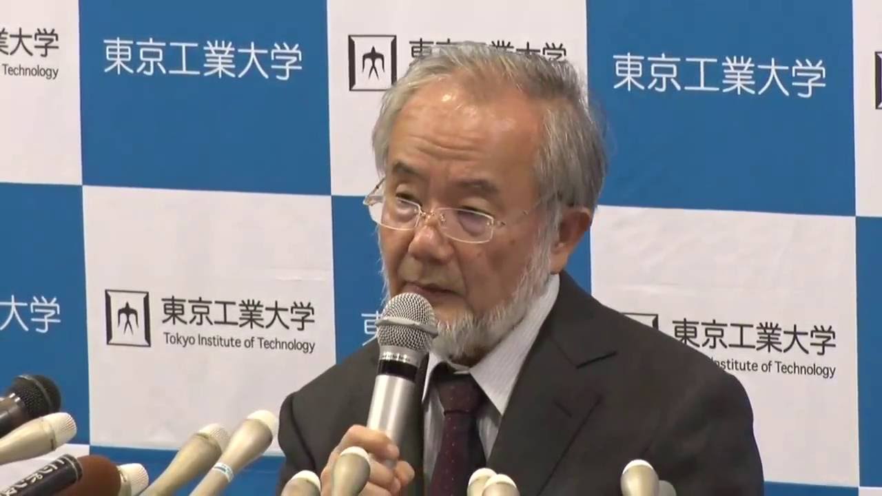 16年ノーベル医学生理学賞は大隅良典氏 日本の科学と技術
