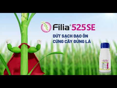 Filia® 525SE 2025