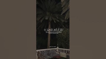 فلا تطع المكذبين| سورة القلم بصوت سالم الرويلي #القرآن_الكريم #تلاوة_خاشعة #سالم_الرويلي #سورة_القلم