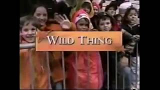 Macy's Parade Balloons: Wild Thing