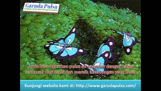 Agen Pulsa Termurah Jawa Timur screenshot 4