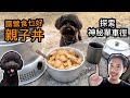 [露營食乜好] 親子丼｜神秘單車徑｜trangia 27-4UL