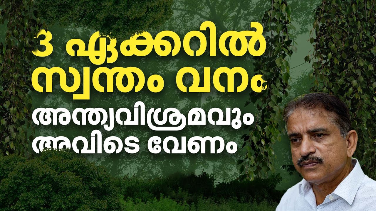 മൊട്ടക്കുന്നിൽ ഏഴിലംപാല നട്ട് തുടക്കം, മൂന്നേക്കറിൽ വനമൊരുക്കി മുഹമ്മദ് കോയ