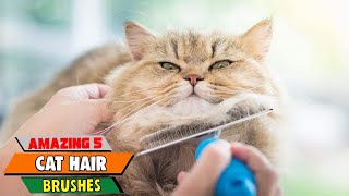 Cat Hair Catastrophe Conquered! Top-Rated Brushes for a Fur-Free Home (2024 Update) by Pet Needs 33 views 3 weeks ago 12 minutes, 50 seconds