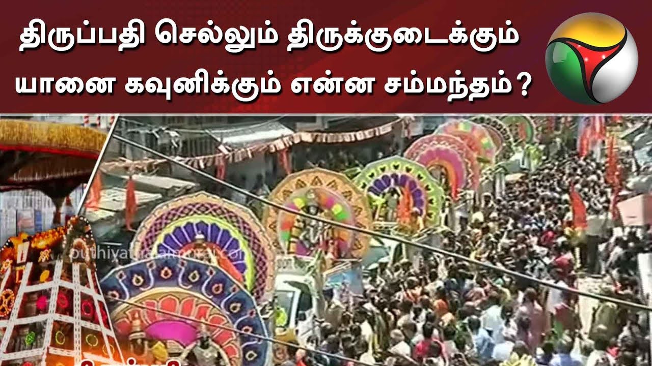 live tamil news 7 tv channels திருப்பதி செல்லும் திருக்குடைக்கும் யானை கவுனிக்கும் என்ன சம்மந்தம்? | Yaanai Kavuni | Tirupati