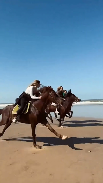 Unstoppable sia #horse #race #shorts