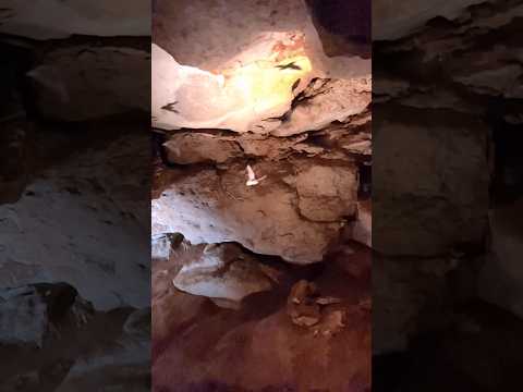 Alabaster Caverns State Park Oklahoma Caves Bats Nature Wildlife 