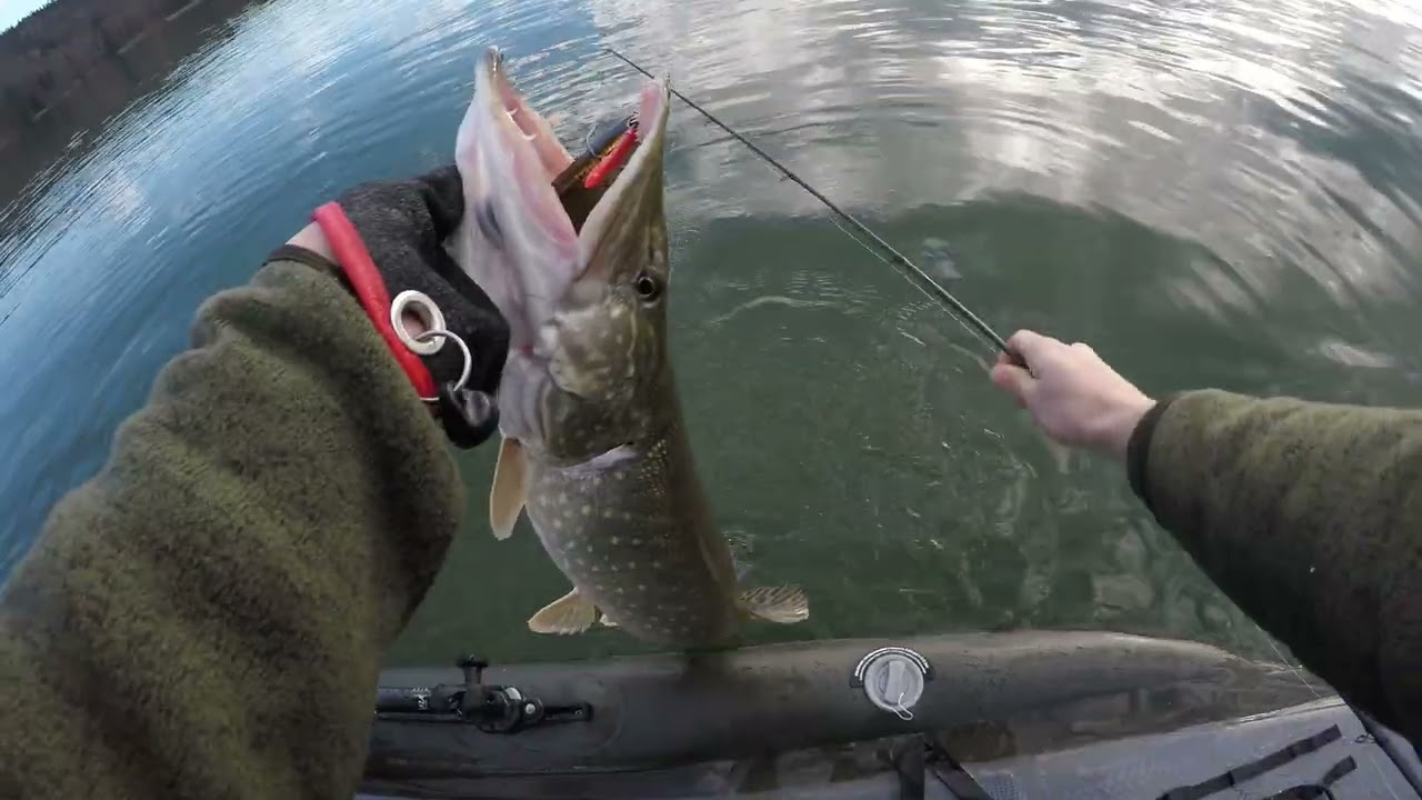 Hab eine Entdeckung gemacht, die hat Hecht gebracht 🎣