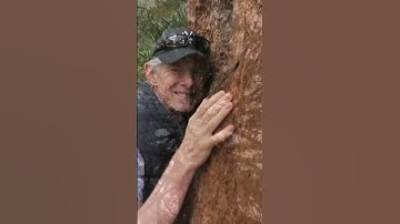 TREE HUGGiNG #cataractgorge #launceston #trees #treehugger