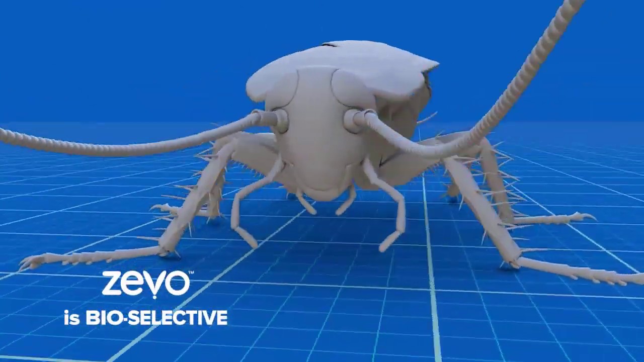 Zevo - Bio-Selective Animation - YouTube