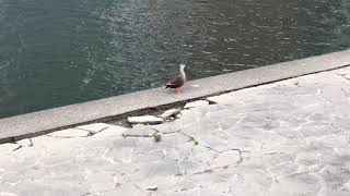 201804132