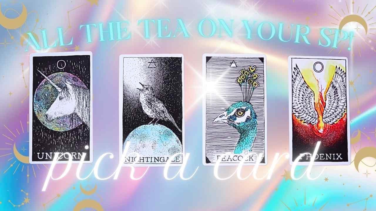💕 THE PERSON ON YOUR MIND!  THEIR FEELINGS FOR YOU TODAY! ✨❤️😊 PICK A CARD Love Tarot